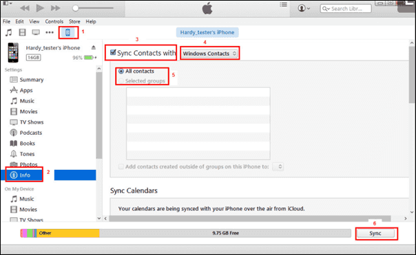 Sincronizar contactos con iTunes