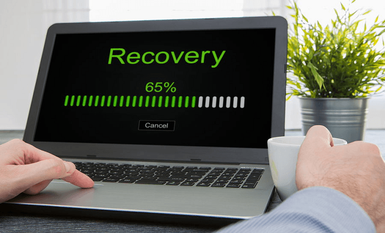 Reseñas sobre Fields Data Recovery