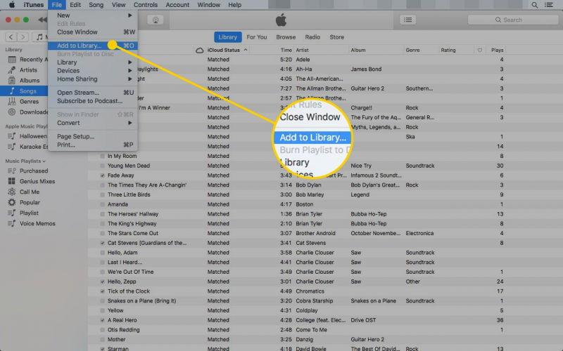 Agregar a la biblioteca para transferir películas al iPad