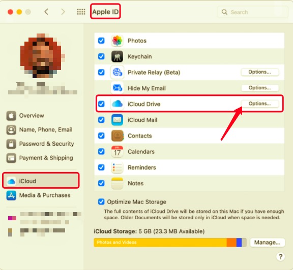 iCloud hace una copia de seguridad de las notas en Mac