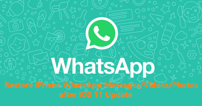Recuperar Whatsapp Imágenes Fotos