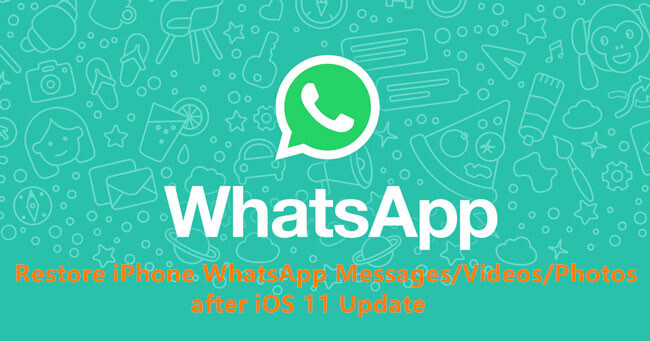 Recuperar Whatsapp Imágenes Fotos