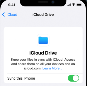 Active la configuración de copia de seguridad de iCloud Drive