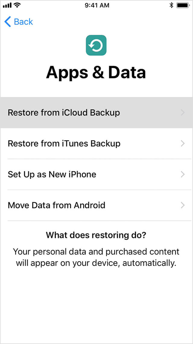 Restaurar Ipad a través de Icloud