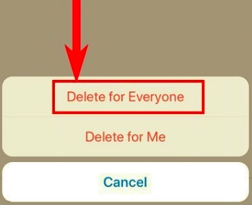 Eliminar mensajes de WhatsApp en su iPhone