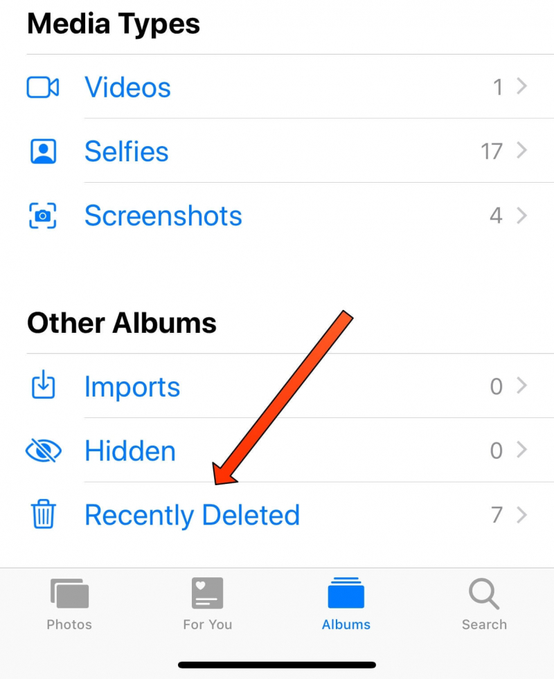 Elimine las imágenes de la carpeta eliminada recientemente para reparar el almacenamiento de fotos del iPhone lleno pero sin fotos