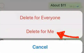 Recupere videos de WhatsApp eliminados de iPhone a través del remitente