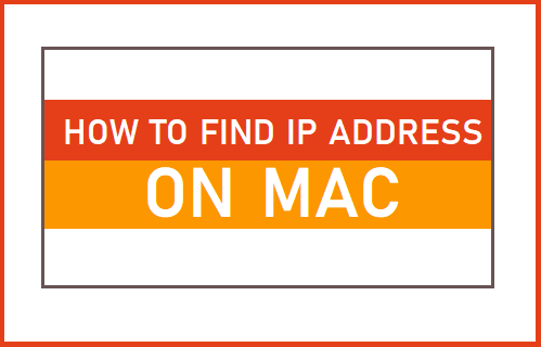 Encontrar la dirección IP en Mac Buscar