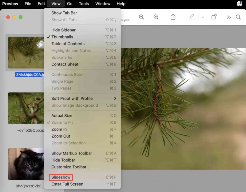 Hacer una presentación de diapositivas en Mac sin iPhoto pero usando la aplicación de vista previa