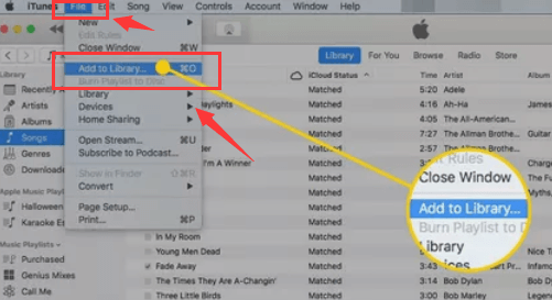 Importar DVD a iTunes