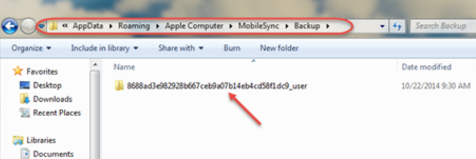 Transferir la copia de seguridad del iPhone a la carpeta de copia de seguridad