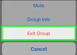 Eliminar mensajes de WhatsApp de iPhone a través del grupo de salida