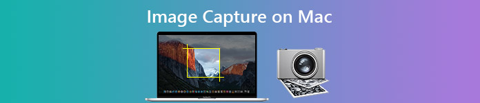 Captura de imagen para transferir videos desde iPad a Mac