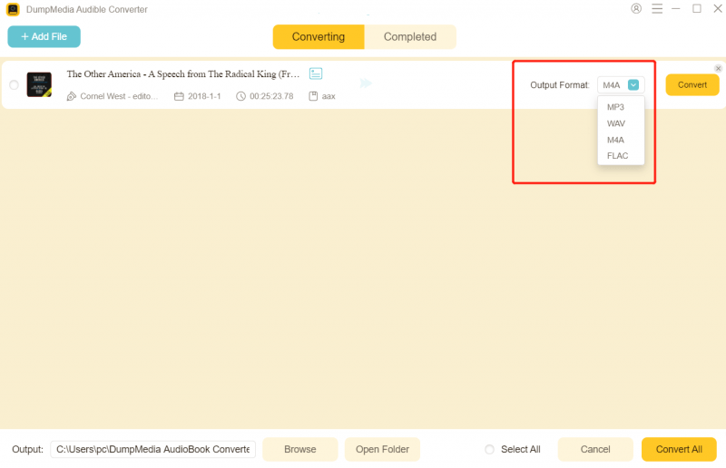 Convertir AAX a MP3: DumpMedia Audible Converter - Configuración de salida