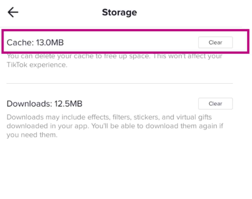Eliminación de TikTok Cache en dispositivos iOS