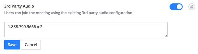 ¿Puedo usar Zoom sin la grabadora de audio Zoom?