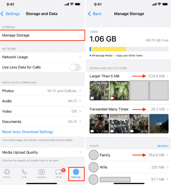 Eliminación de WhatsApp Media en iPhone a través de The Manager Storage