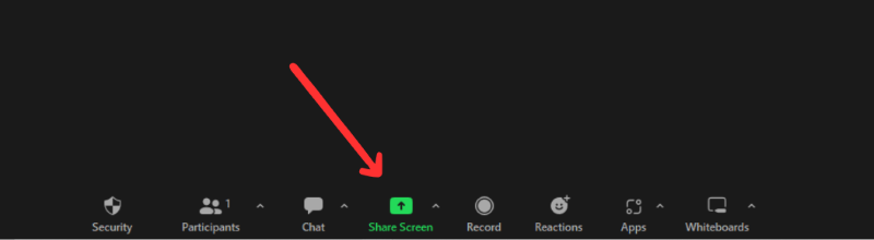 Cómo anotar en Zoom en PC