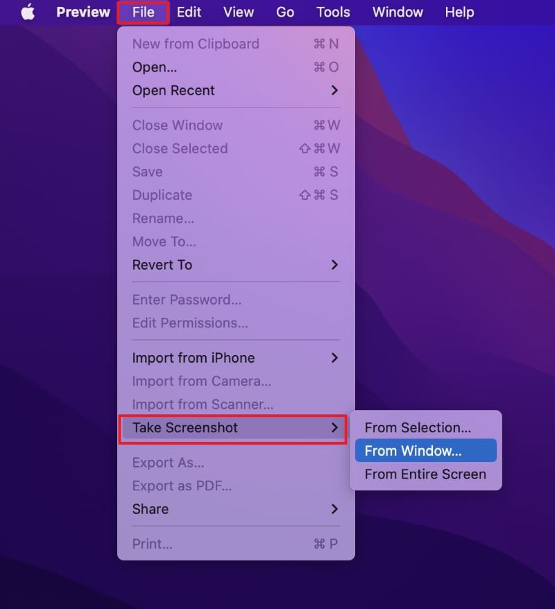 Tome capturas de pantalla usando la vista previa cuando la captura de pantalla en Mac no funciona