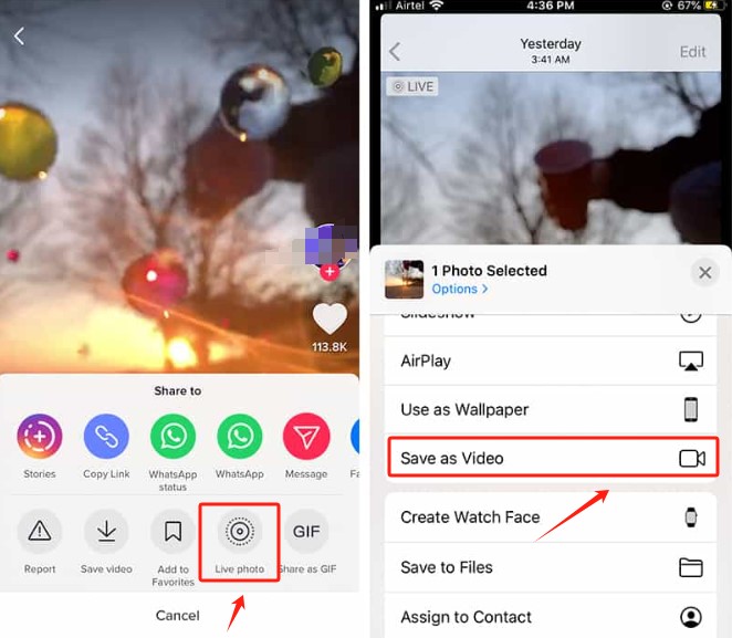 Guarde videos de TikTok sin marcas de agua en iPhone