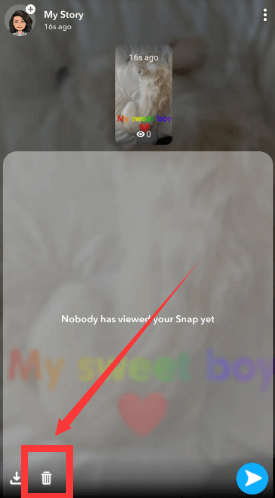 Eliminación de la imagen de Snapchat a través de la historia