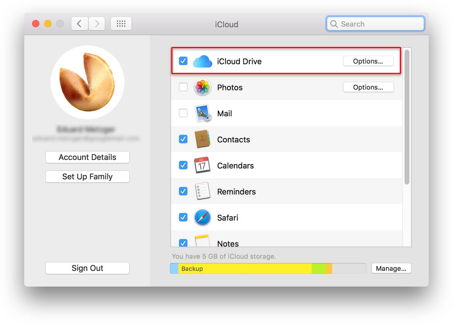 iCloud Drive