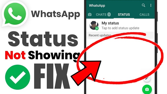 El estado de WhatsApp no ​​se muestra