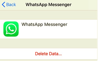 Elimine los datos de WhatsApp iCloud para borrar la copia de seguridad de WhatsApp