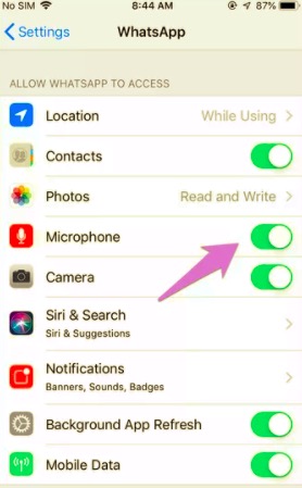 Permitir el permiso del micrófono del iPhone para reparar la voz o la videollamada de WhatsApp sin sonido
