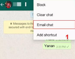 ¿Cómo hacer una copia de seguridad de los mensajes de WhatsApp en iPhone usando el correo electrónico?