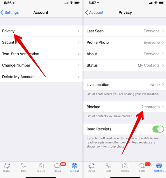 Eliminar contactos de WhatsApp de iPhone usando iPhone