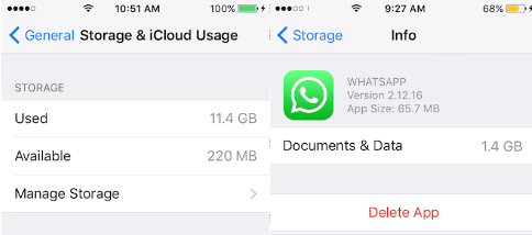Borre el caché de WhatsApp en su dispositivo en iPhone