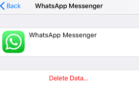 Eliminación de datos de copia de seguridad de iCloud WhatsApp